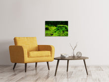 Laden Sie das Bild in den Galerie-Viewer, Leinwandbild Moos im Wald