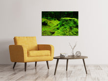 Laden Sie das Bild in den Galerie-Viewer, Leinwandbild Moos im Wald