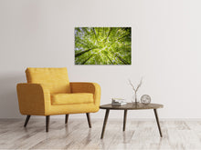 Laden Sie das Bild in den Galerie-Viewer, Leinwandbild Unter den Baumkronen
