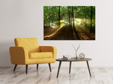 Laden Sie das Bild in den Galerie-Viewer, Leinwandbild Sonne im Wald