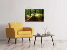 Laden Sie das Bild in den Galerie-Viewer, Leinwandbild Sonne im Wald