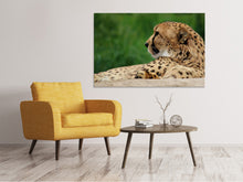 Laden Sie das Bild in den Galerie-Viewer, Leinwandbild XL Gepard