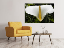 Laden Sie das Bild in den Galerie-Viewer, Leinwandbild Makro Calla in weiss