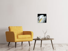 Laden Sie das Bild in den Galerie-Viewer, Leinwandbild Calla Close up in weiss