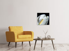 Laden Sie das Bild in den Galerie-Viewer, Leinwandbild Calla Close up in weiss