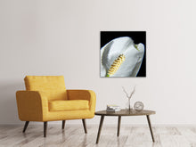 Laden Sie das Bild in den Galerie-Viewer, Leinwandbild Calla Close up in weiss