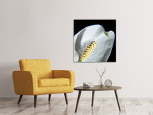 Laden Sie das Bild in den Galerie-Viewer, Leinwandbild Calla Close up in weiss