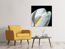Laden Sie das Bild in den Galerie-Viewer, Leinwandbild Calla Close up in weiss