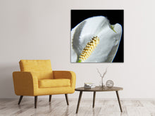 Laden Sie das Bild in den Galerie-Viewer, Leinwandbild Calla Close up in weiss