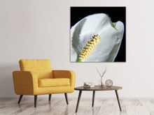 Laden Sie das Bild in den Galerie-Viewer, Leinwandbild Calla Close up in weiss