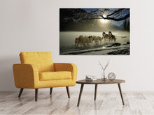 Laden Sie das Bild in den Galerie-Viewer, Leinwandbild Huskys