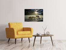 Laden Sie das Bild in den Galerie-Viewer, Leinwandbild Huskys