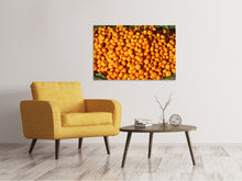 Laden Sie das Bild in den Galerie-Viewer, Leinwandbild Frische Mandarinen