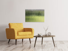 Laden Sie das Bild in den Galerie-Viewer, Leinwandbild Satiniertes Glas