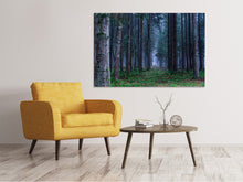Laden Sie das Bild in den Galerie-Viewer, Leinwandbild Tannen Wald
