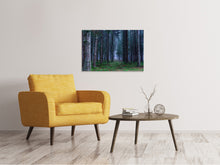 Laden Sie das Bild in den Galerie-Viewer, Leinwandbild Tannen Wald