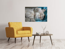 Laden Sie das Bild in den Galerie-Viewer, Leinwandbild Katzen Mama mit Baby