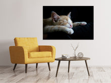 Laden Sie das Bild in den Galerie-Viewer, Leinwandbild Faule Katze