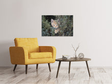 Laden Sie das Bild in den Galerie-Viewer, Leinwandbild Tiger Kitten