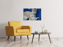 Laden Sie das Bild in den Galerie-Viewer, Leinwandbild Wie die Mama...