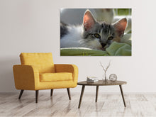 Laden Sie das Bild in den Galerie-Viewer, Leinwandbild Verliebt in Kitten