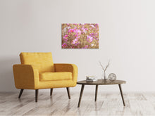 Laden Sie das Bild in den Galerie-Viewer, Leinwandbild Das Schmuckkörbchen Cosmea