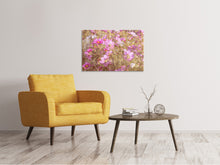 Laden Sie das Bild in den Galerie-Viewer, Leinwandbild Das Schmuckkörbchen Cosmea