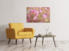 Laden Sie das Bild in den Galerie-Viewer, Leinwandbild Das Schmuckkörbchen Cosmea