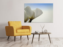 Laden Sie das Bild in den Galerie-Viewer, Leinwandbild Das Blatt einer Lilienblüte