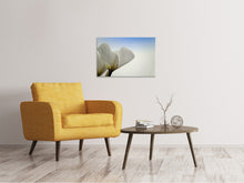 Laden Sie das Bild in den Galerie-Viewer, Leinwandbild Das Blatt einer Lilienblüte