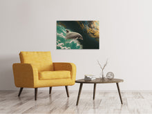 Laden Sie das Bild in den Galerie-Viewer, Leinwandbild Faszination Delfin