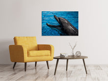 Laden Sie das Bild in den Galerie-Viewer, Leinwandbild Freundlicher Delphin