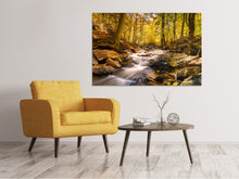 Laden Sie das Bild in den Galerie-Viewer, Leinwandbild Echte Natur Schönheit