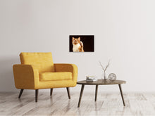 Laden Sie das Bild in den Galerie-Viewer, Leinwandbild Achtung kluge Katze