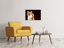 Laden Sie das Bild in den Galerie-Viewer, Leinwandbild Achtung kluge Katze