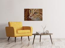 Laden Sie das Bild in den Galerie-Viewer, Leinwandbild Close up Katzenkopf