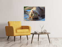 Laden Sie das Bild in den Galerie-Viewer, Leinwandbild Grünauge