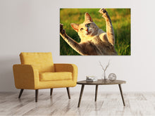 Laden Sie das Bild in den Galerie-Viewer, Leinwandbild Zeig die Krallen!