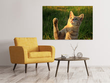 Laden Sie das Bild in den Galerie-Viewer, Leinwandbild Katzen Spiel