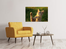 Laden Sie das Bild in den Galerie-Viewer, Leinwandbild Katzen Spiel