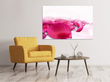 Laden Sie das Bild in den Galerie-Viewer, Leinwandbild Rosenblätter in pink