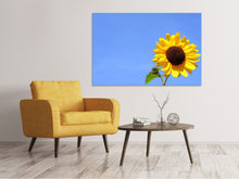 Laden Sie das Bild in den Galerie-Viewer, Leinwandbild Sonnenblume mit blauem Himmel