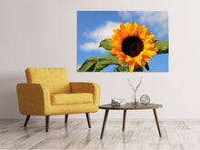 Laden Sie das Bild in den Galerie-Viewer, Leinwandbild Sonnenblume in der Blüte
