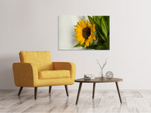 Laden Sie das Bild in den Galerie-Viewer, Leinwandbild Schöne Sonnenblume