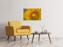 Laden Sie das Bild in den Galerie-Viewer, Leinwandbild Blütenstand einer Sonnenblume