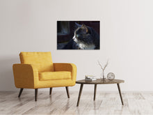 Laden Sie das Bild in den Galerie-Viewer, Leinwandbild Katzenkopf XL