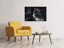 Laden Sie das Bild in den Galerie-Viewer, Leinwandbild Katzenkopf XL