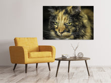 Laden Sie das Bild in den Galerie-Viewer, Leinwandbild Achtung Katze