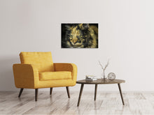 Laden Sie das Bild in den Galerie-Viewer, Leinwandbild Achtung Katze