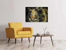 Laden Sie das Bild in den Galerie-Viewer, Leinwandbild Achtung Katze